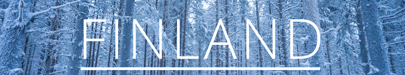 Banner Before Header